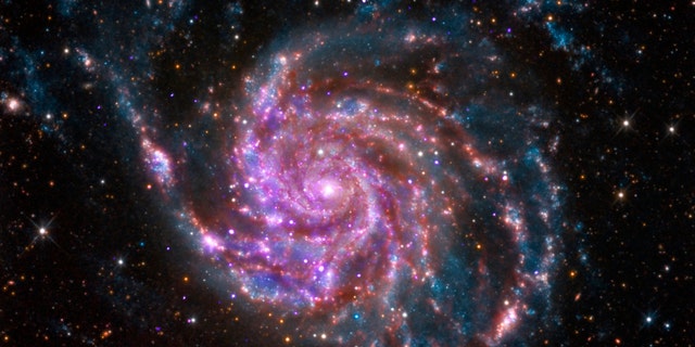 File photo: The spiral galaxy M101 is pictured in this undated handout photo from NASA's Chandra X-Ray Observatory. M101 is a spiral galaxy like our Milky Way, but about 70 percent bigger. It is located about 21 million light years from Earth. (REUTERS/NASA/Handout via Reuters)