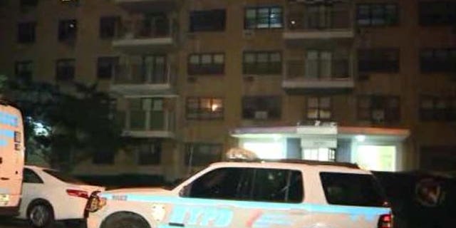 The Bronx apartment where Lisette Bamenga allegedly staged a suicide-murder attempt.