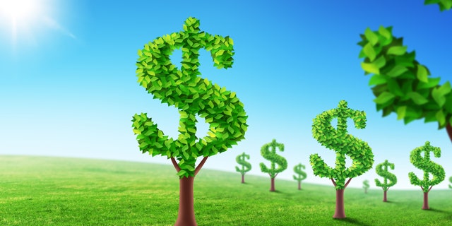Money-shaped trees