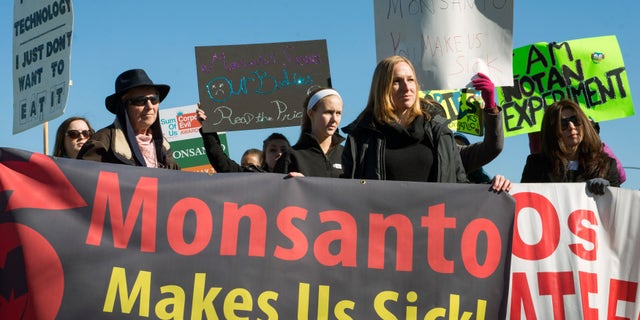 Activists protest against the production of herbicides and GMO (genetically modified organisms) food products outside Monsanto headquarters during its annual shareholders meeting in Creve Coeur, Missouri, January 30, 2015. REUTERS/Kate Munsch