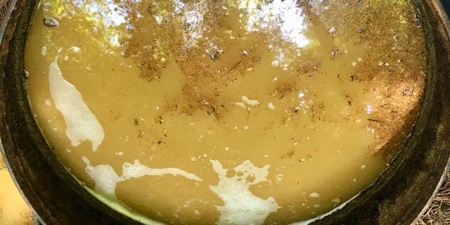 Authorities discovered 36 fermentation barrels that could produce about $7,500 in illegal liquor on each run.