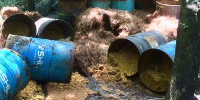 Authorities dismantled the illegal operation by knocking over the barrels.