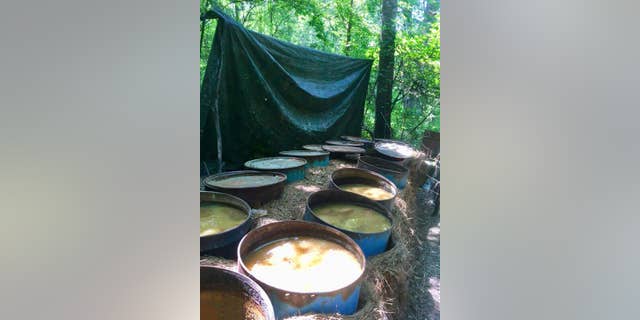 The moonshine operation was discovered by a group of people cutting down trees nearby.