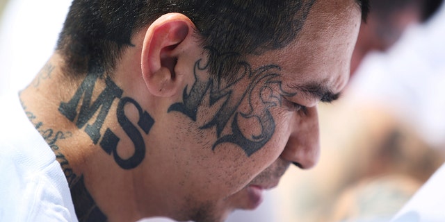 The violent street gang MS-13 has made its presence felt in small towns and suburbs.