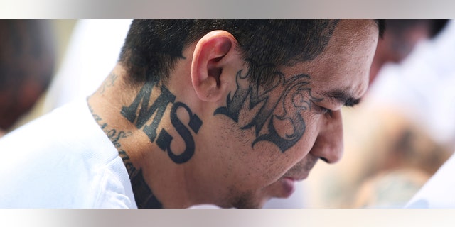 The violent street gang MS-13 has made its presence felt in small towns and suburbs.