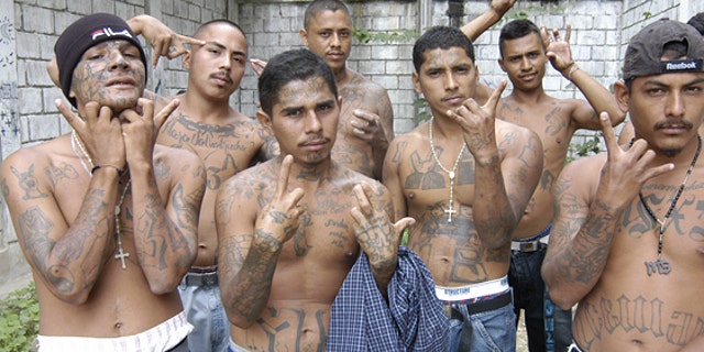 MS 13 started in the prisons of El Salvador, but has spread throughout the continent.