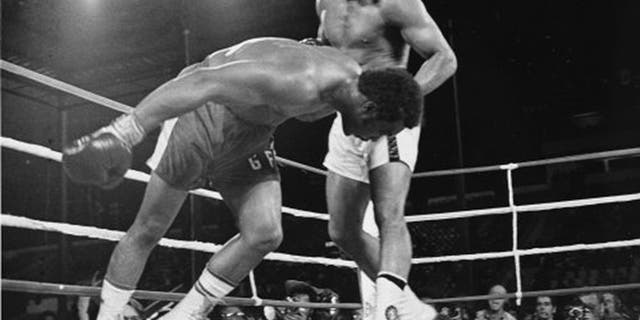 FILE - In this Oct. 30, 1974 file photo, Challenger Muhammad Ali watches as defending world champion George Foreman goes down to the canvas in the eighth round of their WBA/WBC championship match in Kinshasa, Zaire, on Oct. 30, 1974. Foreman was counted out by the referee and Ali regained the world heavyweight crown by knockout in the bout dubbed "Rumble in the Jungle." (AP Photo/File)