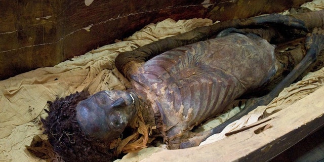 The illegal trafficking of mummies can destroy scientists' chances of learning about ancient Egyptians. Here, the mummy Maiherpri resides in a sarcophagus after undergoing a scan to reveal the prevalence of heart disease at the time.