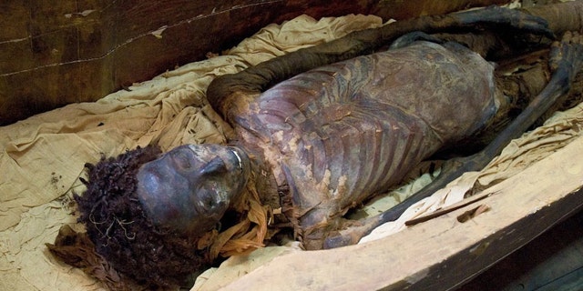 The illegal trafficking of mummies can destroy scientists' chances of learning about ancient Egyptians. Here, the mummy Maiherpri resides in a sarcophagus after undergoing a scan to reveal the prevalence of heart disease at the time.
