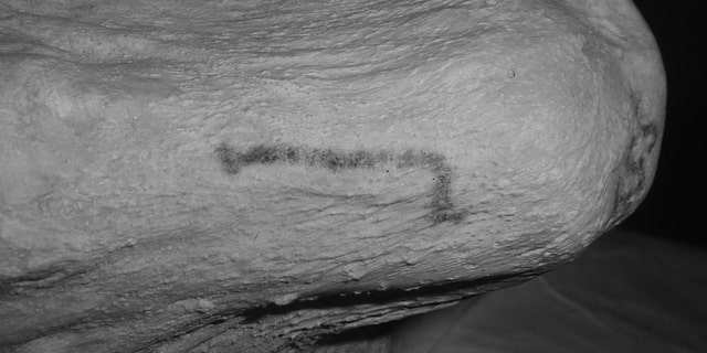 The linear motif tattoo discovered on the female mummy (The Trustees of the British Museum)