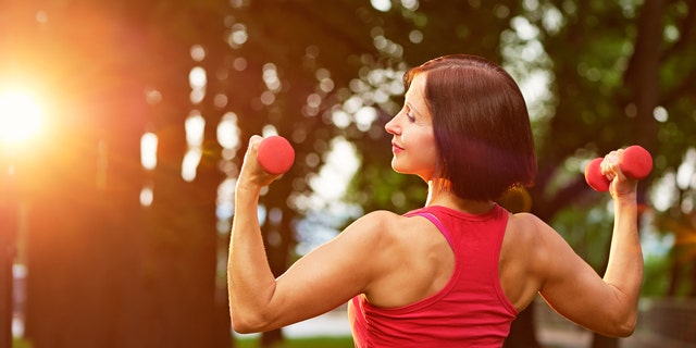 Muscles are fibrous tissue that have the ability to contract, move and hold positions of body parts.