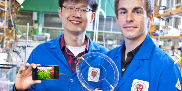 Jeong-Yun Sun (left) and Christoph Keplinger (right) demonstrate their transparent ionic speaker.