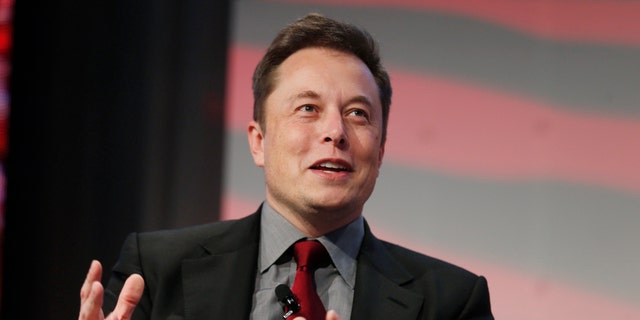 File photo - Tesla Motors CEO Elon Musk talks at the Automotive World News Congress at the Renaissance Center in Detroit, Michigan, Jan. 13, 2015. (REUTERS/Rebecca Cook)
