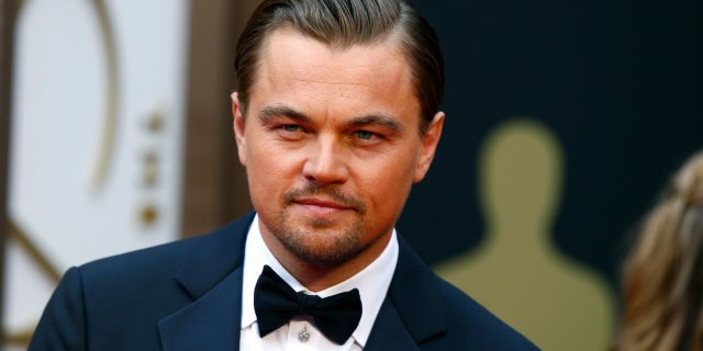 Leonardo DiCaprio has asked Weinstein Co. not to sell its assets until he's examined the studio's finances.