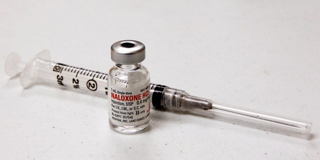 A vial of Naloxone and syringe are pictured at a Naloxone training class taught by Jennifer Stepp and her daughter Audrey for adults and children to learn how to save lives by injecting Naloxone into people suffering opioid overdoses at the Hillview Community Center in Louisville, Kentucky, November 21, 2015. REUTERS/John Sommers II - RTX1VIP5