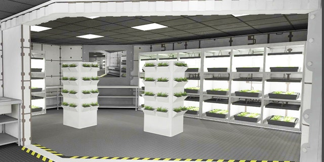 A rendering of Mars Base 1's botany lab.