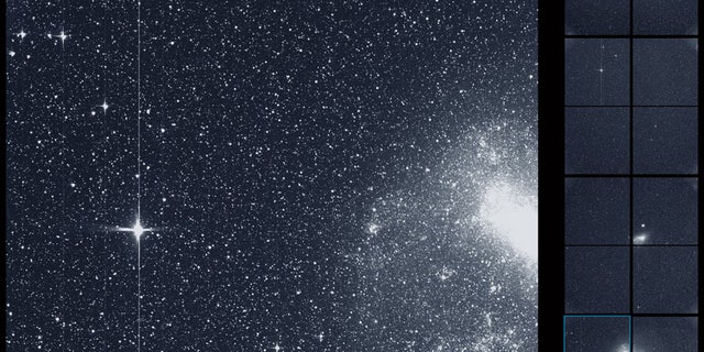 The Transiting Exoplanet Survey Satellite (TESS) took this snapshot of the Large Magellanic Cloud (right) and the bright star R Doradus (left) with just a single detector of one of its cameras on Tuesday, Aug. 7. The frame is part of a swath of the southern sky TESS captured in its “first light” science image as part of its initial round of data collection.