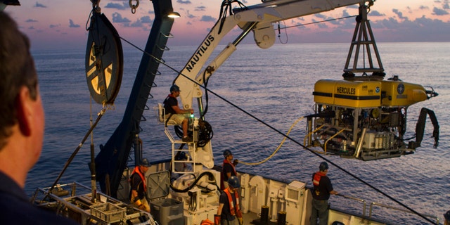 Credit: Ocean Exploration Trust/Nautilus Live