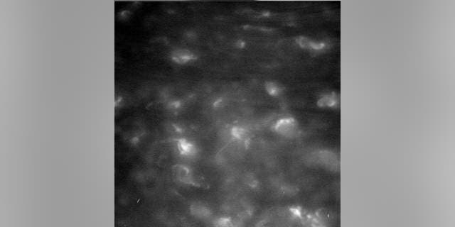 This unprocessed image shows features in Saturn's atmosphere from closer than ever before. The view was captured by NASA's Cassini spacecraft during its first Grand Finale dive past the planet on April 26, 2017. (Credits: NASA/JPL-Caltech/Space Science Institute)