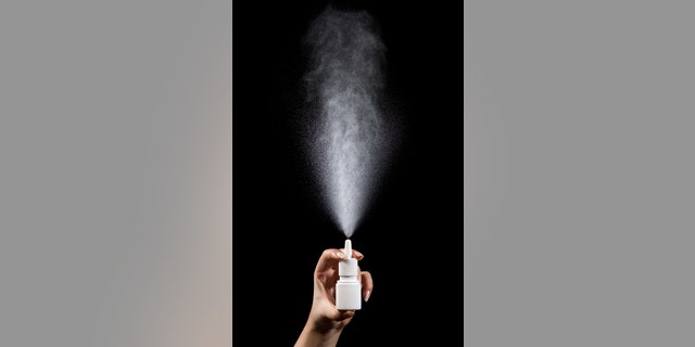 A new study has found that an oxytocin nasal spray could help treat alcoholism, after researchers found the "love hormone" helped block increased drinking in alcohol-dependent rats.