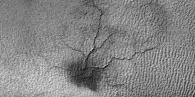 Images from NASA's Mars Reconnaissance Orbiter shows a branching network of troughs carved by thawing carbon dioxide. This process may also form larger radially patterned channel features known as Martian "spiders." (Image credit: NASA/JPL-Caltech/Univ. of Arizona)