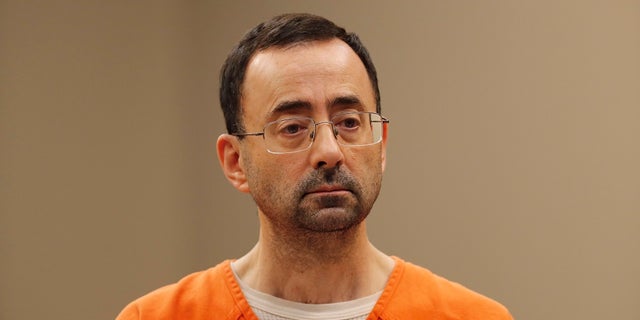 Larry Nassar pleaded guilty Wednesday to multiple counts of criminal sexual conduct.