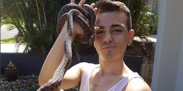 The inland taipan is usually quite shy and is known to only strike when it is provoked or mishandled.