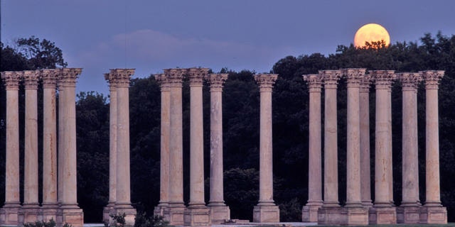 This undated photo released by the National Arboretum shows the National Capitol Columns at the U.S. National Arboretum in Washington.