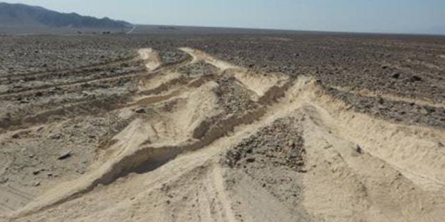Peru's Ministry of Culture said the ancient Nazca Lines were damaged after a truck driver plowed into the archaeological site.