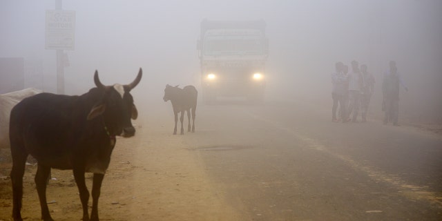 A photo of New Delhi Streets taken Nov. 8, 2017.
