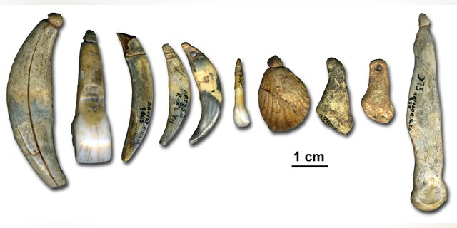 The Chtelperronian body ornaments and bone points archaeologists discovered at the Grotte du Renne in Arcy-sur-Cure, France.