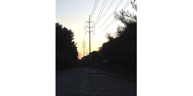 Residents claim Massachusetts power company NSTAR swung the axe first and asked questions later.