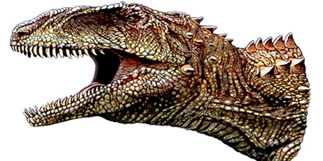 Fossils of three new dinosuars, like this Australovenator wintonensis, were discovered in Australia this year. But they were just one of the ten best discoveries of the year.