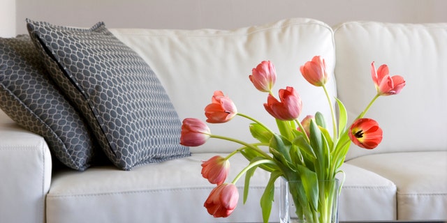 vase of red tulips in modern white living room - home decor