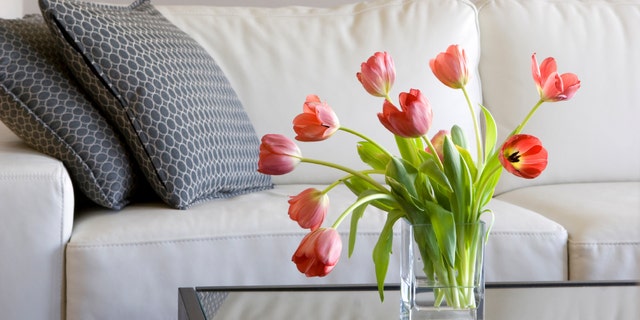 vase of red tulips in modern white living room - home decor