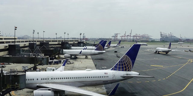 File photo -United Airlines planes are seen on platform at the Newark Liberty International Airport in New Jersey, July 8, 2015. (REUTERS/Eduardo Munoz)