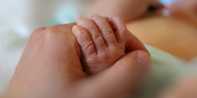 Newborn baby little hand hold by adult man hand of his father