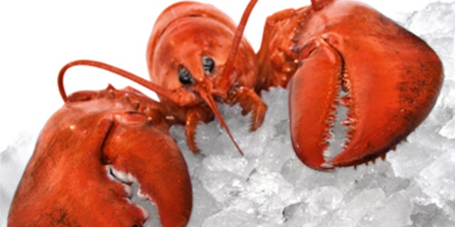 New Ways to Eat Lobster | Fox News New Ways to Eat Lobster | Fox News