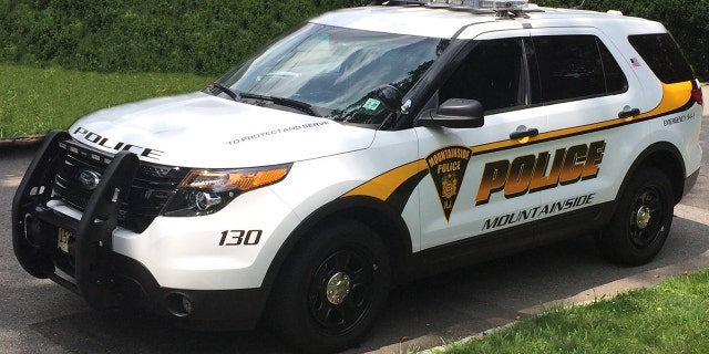 Mountainside, N.J. police officers are accused of inappropriate work behavior.