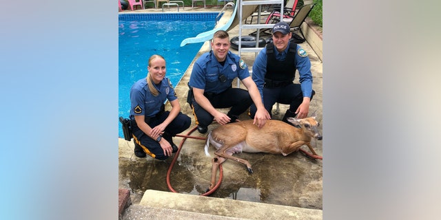 Officers McCarthy, Thumhart and Bakker responded to the call on Tuesday morning.