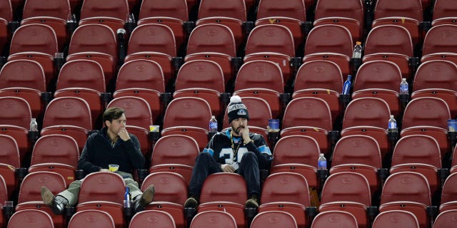 Feb. 7, 2016: Carolina Panthers fans sit in the stands after Super Bowl 50 in Santa Clara, Calif. (AP Photo/Charlie Riedel)