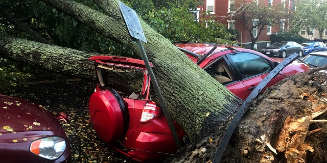 A large tree fell on top of a car on Mellen Street, in Portland, Maine, after an early morning storm.