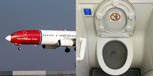 A Norwegian Air flight was forced to turn around shortly after takeoff due to a problem with the toilets, which couldn't be fixed by the 85 plumbers on board.