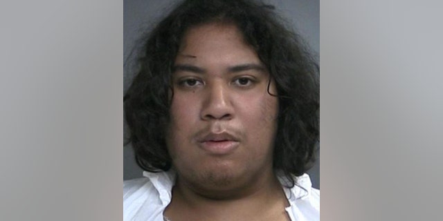 Robert Rivera, 19, fatally stabbed his brother while he was playing video games, police said.