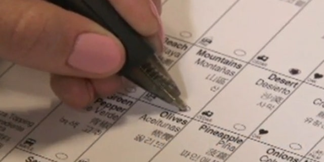 Shown here is an image of a sample ballot, without candidate names, from New York City. (New York City Board of Elections)