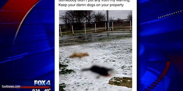 A volunteer firefighter in Hunt County has reportedly resigned and could face criminal charges over a social media post suggesting he shot two dogs.