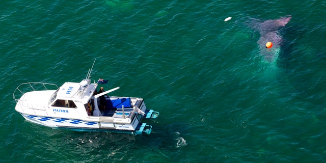 Jan. 7, 2015: A police boat circles a crashed plane in Lake Taupo in New Zealand.