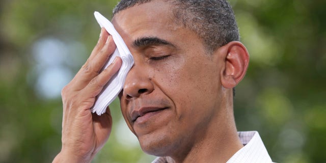 President Obama wipes his brow as he speaks during a town hall meeting at Lower Hannah's Bend Park in Cannon Falls, Minn., Monday, Aug. 15, 2011.