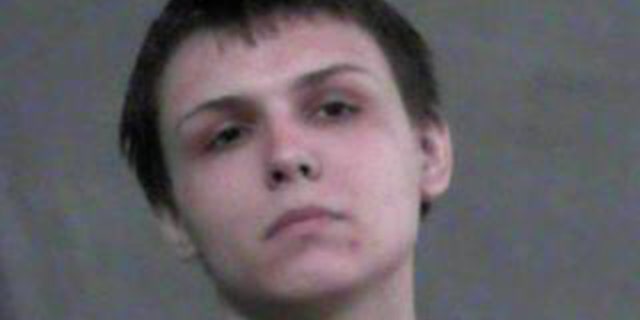 Ryan Michael Stepanian, 25, was arrested in connection to two bank robberies in West Virginia.