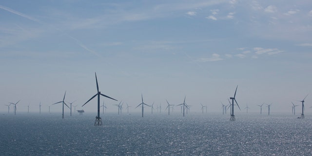 Wind turbines are pictured in RWE Offshore-Windpark Nordsee Ost in the North Sea, 30 kilometers from Helgoland, Germany.